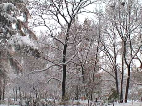 spis.php?category_id=102