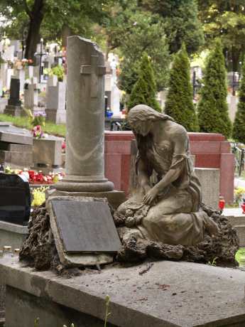 spis.php?category_id=113