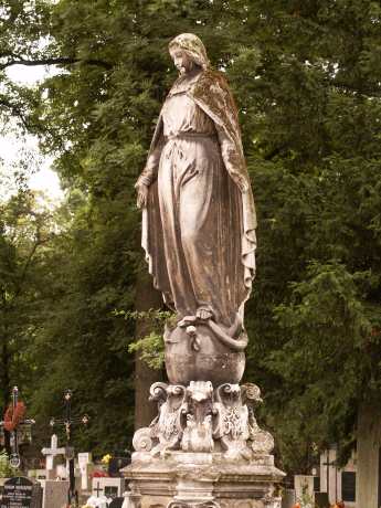 spis.php?category_id=115