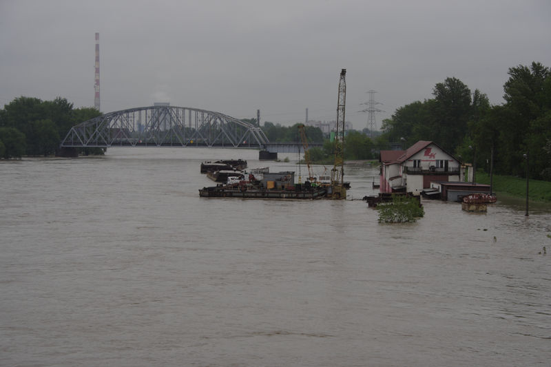 spis.php?category_id=432