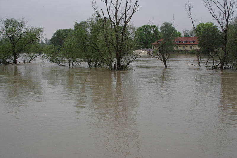 spis.php?category_id=432