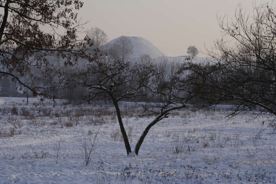 spis.php?category_id=424