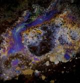 photo.php?category_id=192&file_id=3449&fileBackPage=1&filesPage=15